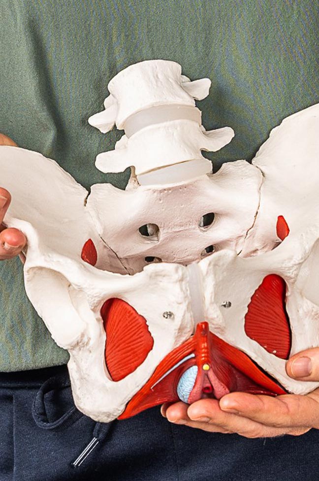 Carola Eder Beckenboden Check-up